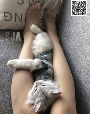 国产高清一区二区在线观看_日韩电影在线